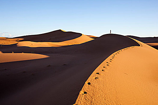 脚步,撒哈拉沙漠