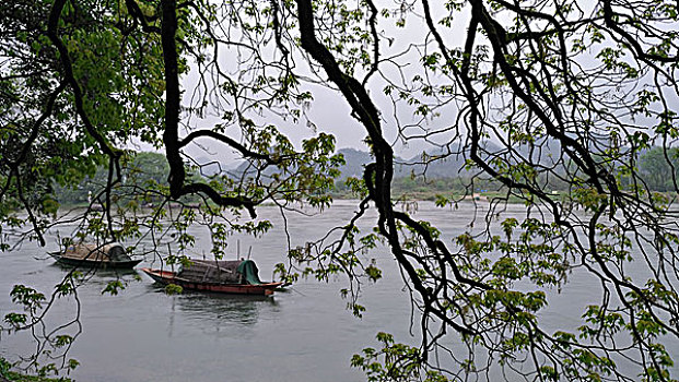 雨后风景