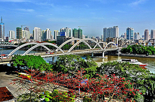 广州解放大桥珠东两岸红棉花开