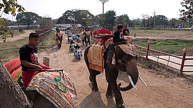 大象,护送,哈雷摩托,泰国,一月,2007年