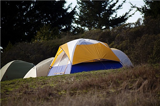 帐篷,向上,露营地,倾斜,山