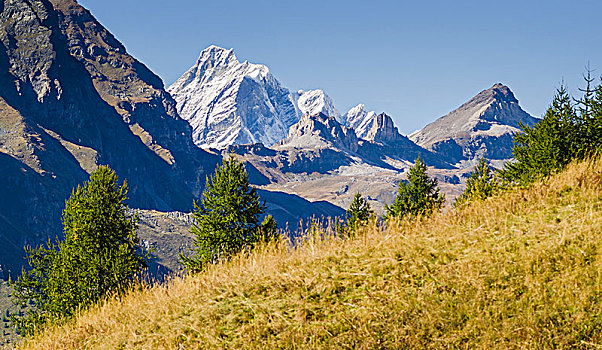 凹,风景,草场,山谷,奥斯塔谷,阿尔卑斯山,意大利阿尔卑斯山,意大利