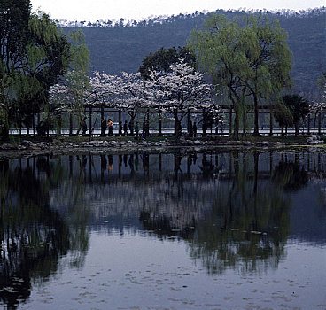 杭州风景