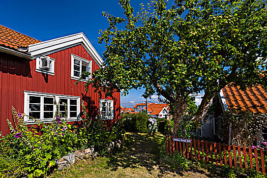 房子,岛屿,省,布胡斯,瑞典,欧洲