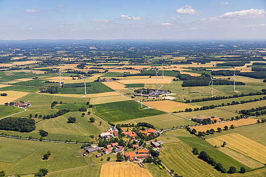 农场,地点,风轮机,靠近,明斯特地区,北莱茵威斯特伐利亚,德国,欧洲