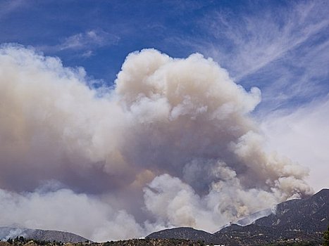 森林火灾,洛杉矶,加利福尼亚,美国