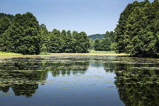 河,黑色,波兰