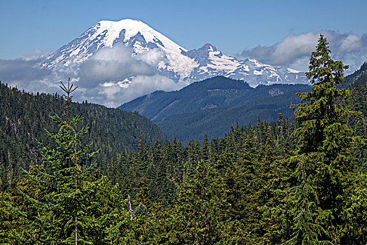 风景,雪冠,火山,雷尼尔山,华盛顿,美国,北美