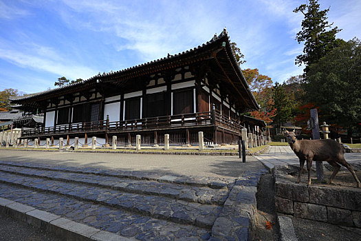 日本奈良三月堂