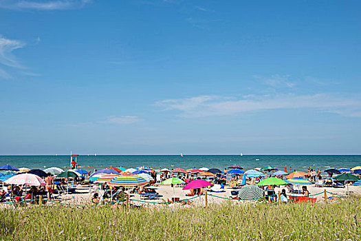 海洋,沙滩,遮阳伞,草,正面,省,马希地区,意大利,欧洲