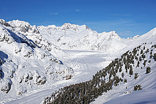 积雪,冰河,冬天,瓦莱,瑞士,欧洲