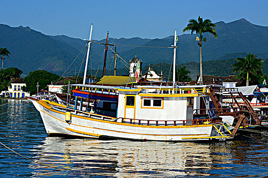 渔船,湾,里约热内卢,巴西,南美