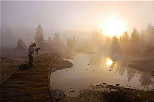 晨雾,黄石国家公园,怀俄明,美国