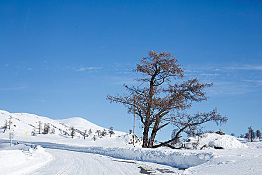 道路雪景