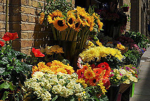 花,展示,户外,花店,伦敦,英格兰