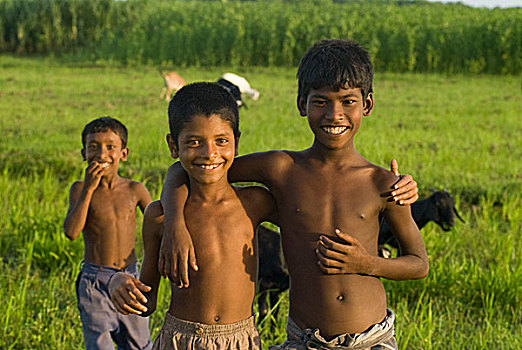 头像,乡村,孩子,孟加拉,六月,2007年