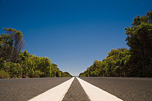 澳大利亚,一对,白线,中间,道路