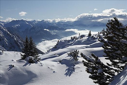 冬天,风景,山脉,提洛尔,奥地利,欧洲
