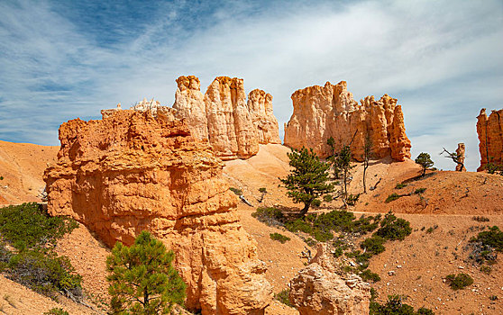 怪诞,岩石构造,红色,沙岩构造,布莱斯峡谷国家公园,犹他,美国,北美