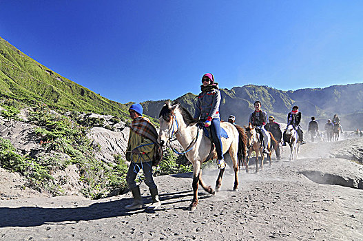 马,游客,租赁,婆罗摩火山,山丘,东方,爪哇