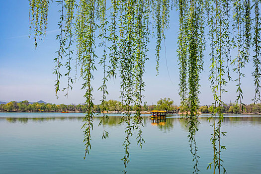 初春时的圆明园公园福海景区