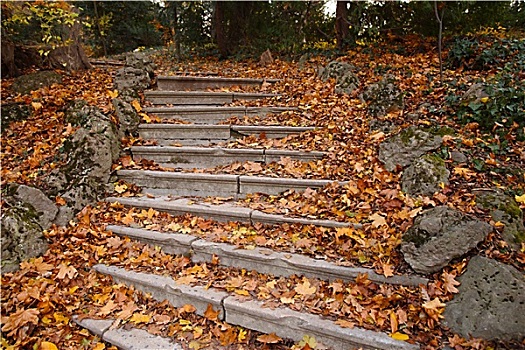 秋天,楼梯