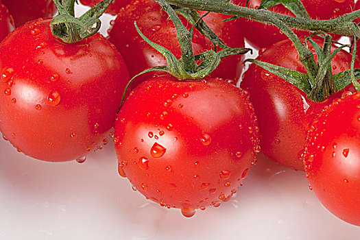 特写,清新,西红柿,水滴,白色