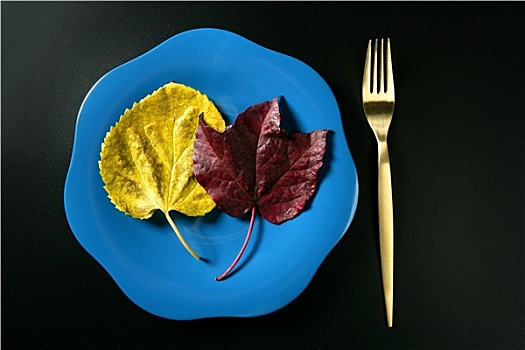 象征,健康饮食,低热量,彩色,素食主义,叶子,食物