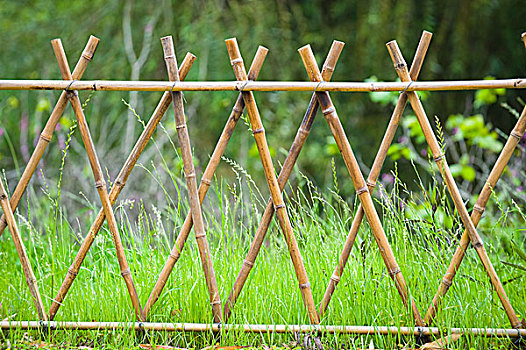 防护,竹子,围栏,花园