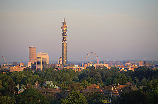 英格兰,伦敦,樱草花,山,城市,看,上方,摄政公园,著名地标建筑,伦敦眼