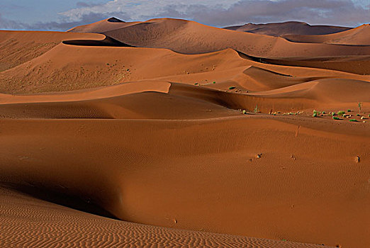 国家公园,沙漠,沙丘,索苏维来地区