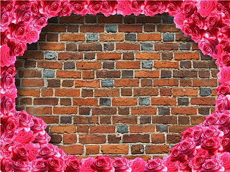 框架,玫瑰,背景,红砖,墙壁