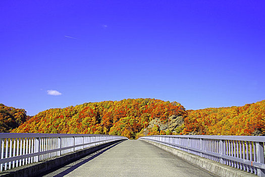 桥,山,彩色