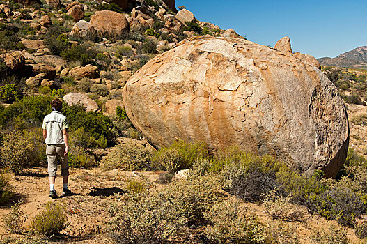 大,花冈岩,石头,人,尺寸,对比,纳马夸兰,跳羚,北开普,省,南非,非洲