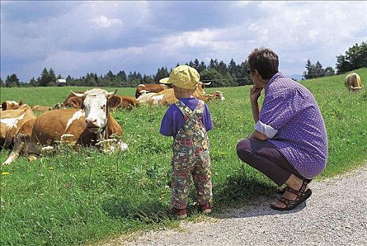 女人,母亲,小孩,看,牛,母牛,牧场,夏天,休假,巴伐利亚,德国,欧洲,哺乳动物,牲畜,动物