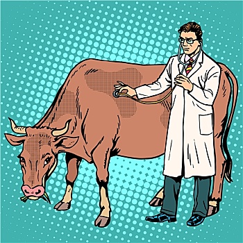 兽医,母牛,家畜,医疗