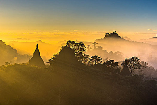 塔,围绕,树,雾气,早晨,亮光,地区,若开邦,缅甸,亚洲