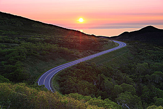 道路