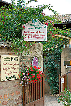 房门,标识,博若莱葡萄酒,酒乡,罗纳河谷,法国