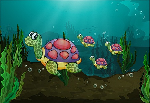 水下,海龟