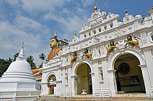 最高,佛,雕塑,庙宇,斯里兰卡,亚洲