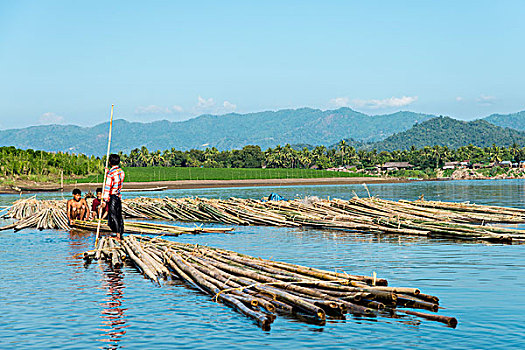 竹子,运输,河,分开,若开邦,缅甸,亚洲