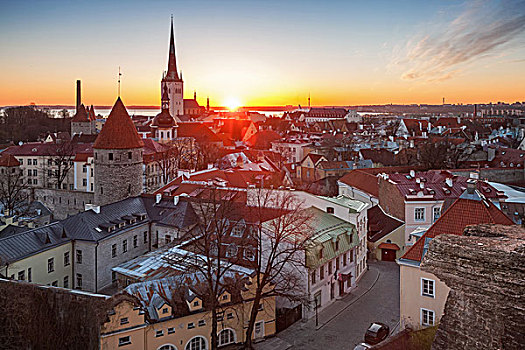 早晨,城市,日出,亮光,老城,塔林,爱沙尼亚