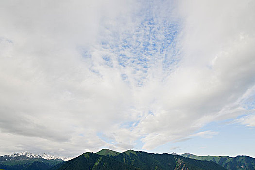 新疆天山伊犁草原牧场