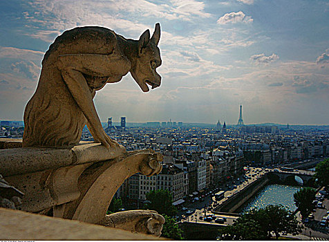 滴水兽,远眺,巴黎,圣母大教堂,法国