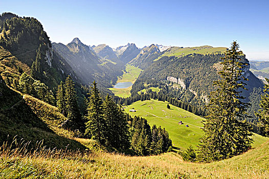 风景,地质,远足,小路,阿彭策尔,阿尔卑斯山,山,右边,湖,中间,瑞士,欧洲
