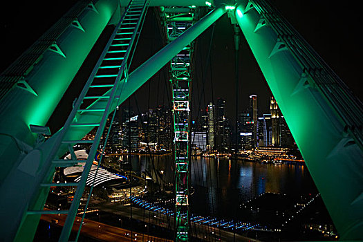 城市,摩天轮,夜晚,新加坡