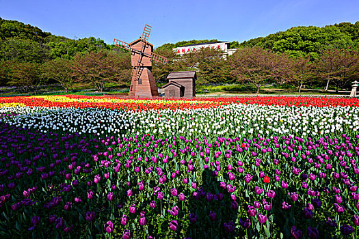 苏州石湖上方山风光