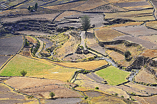 秘鲁,山谷,梯田耕种