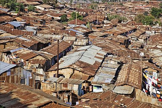 肯尼亚,内罗毕,拥挤,局部,一个,贫民窟